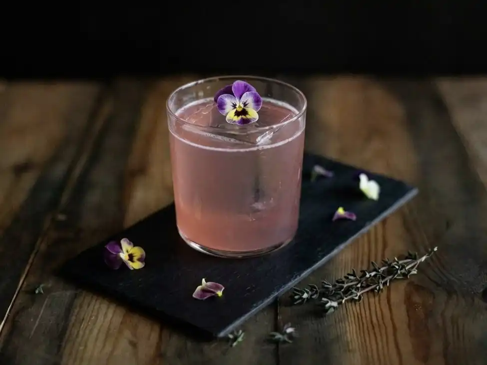 Blush Paloma