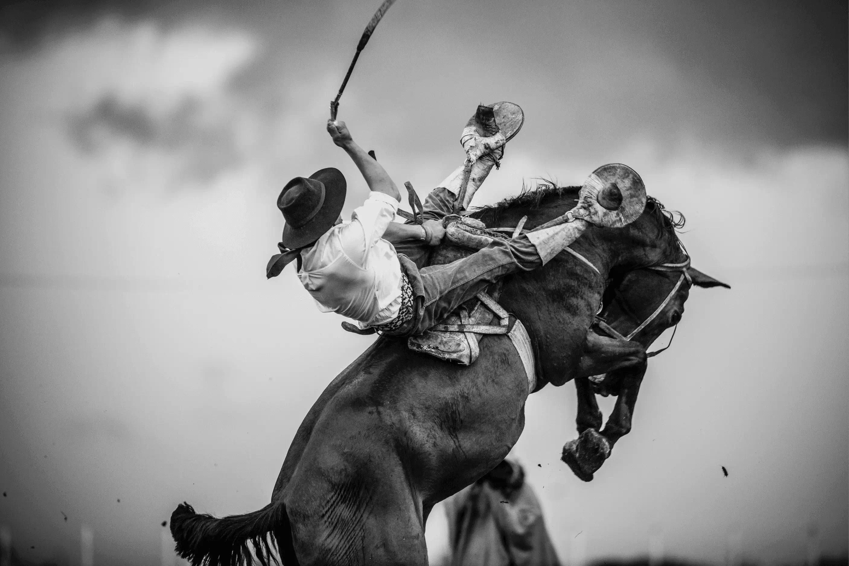 Gaucho Image