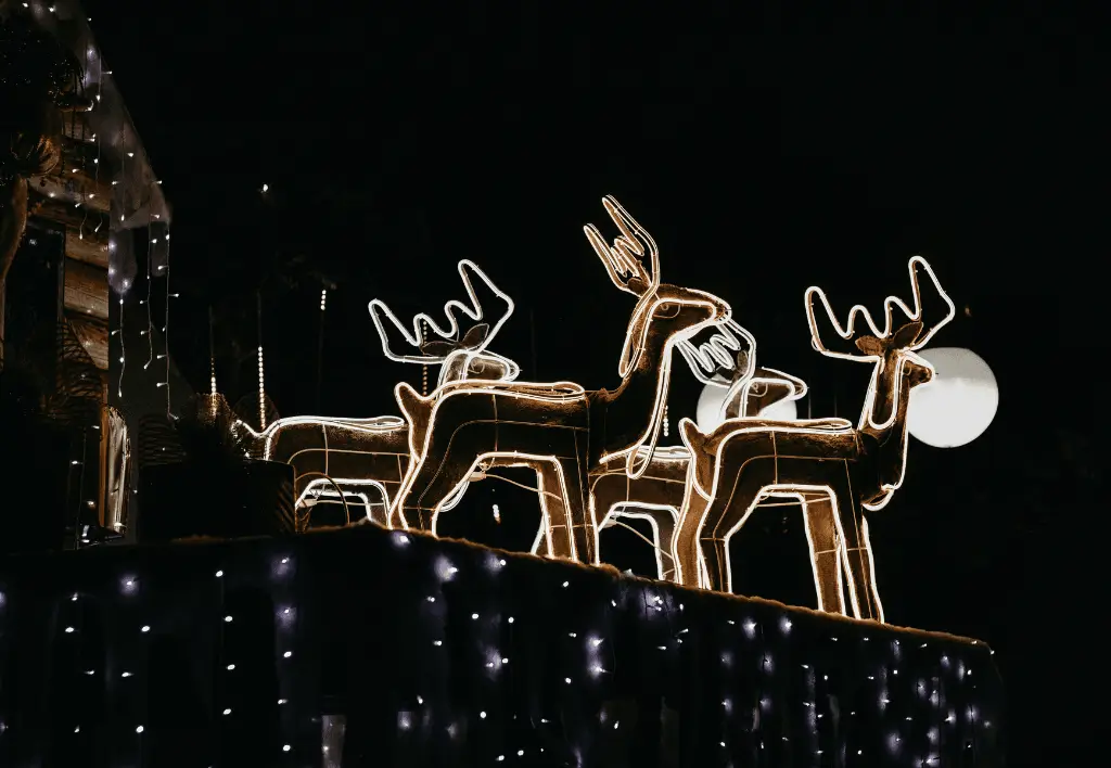 Christmas in Brazil Image