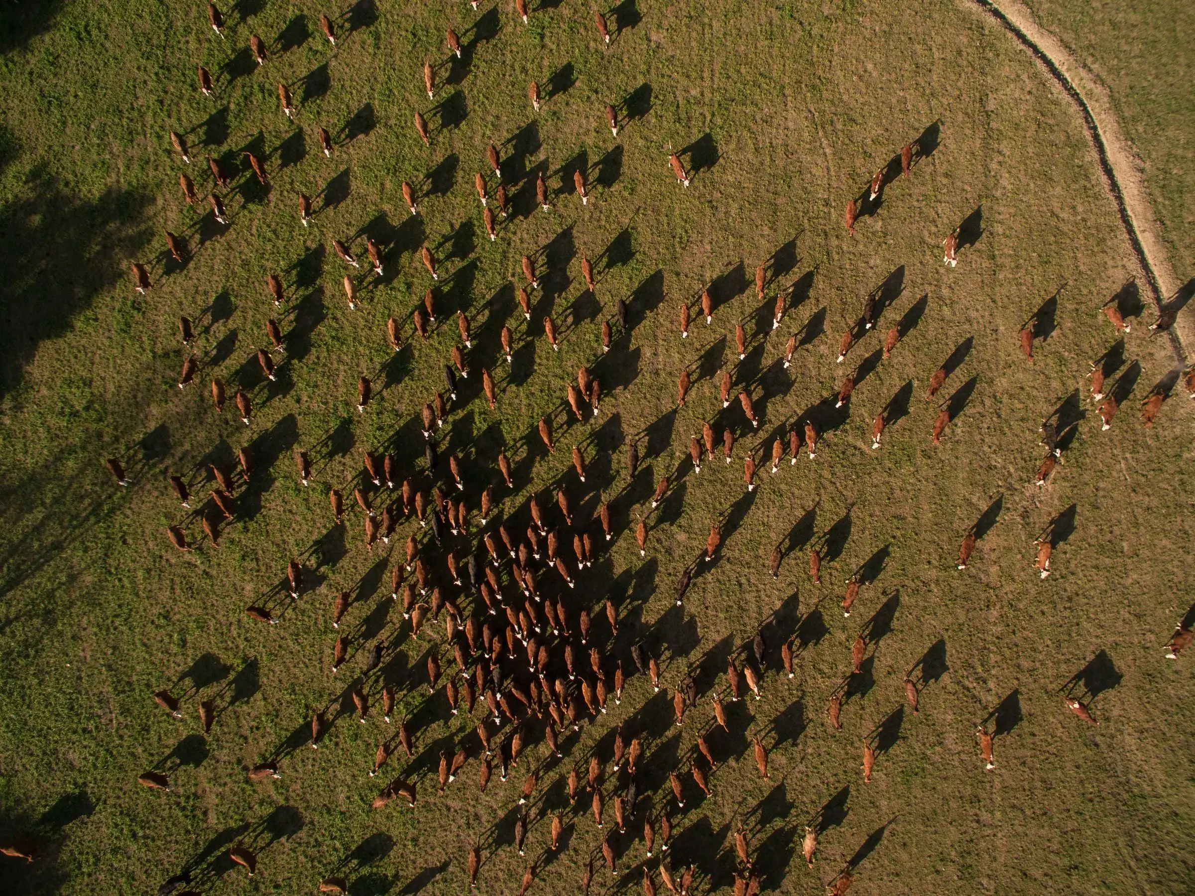 Getting to know la pampa Image