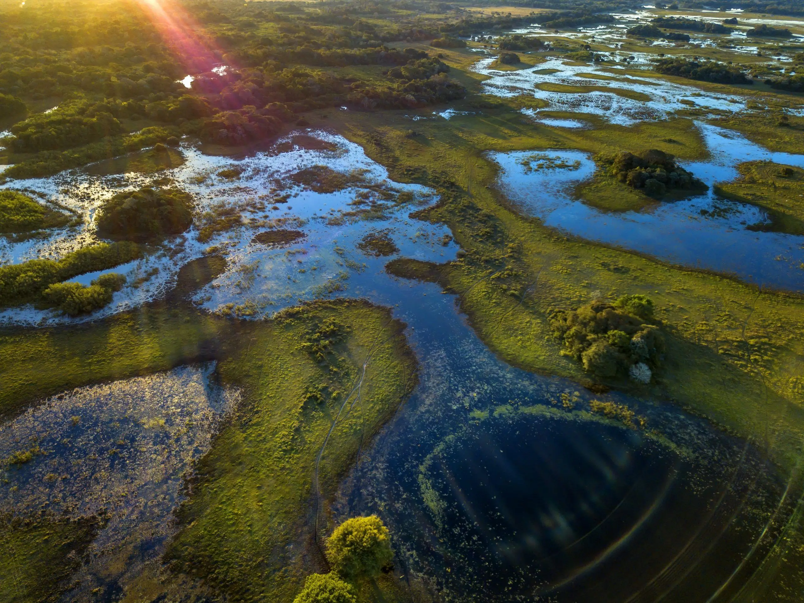 Mato Grosso do Sul Image